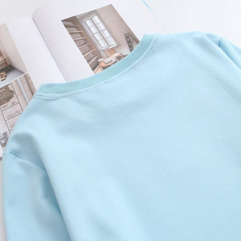 Loses Freizeit-sweatshirt Mit Stickerei Im Frühherbst